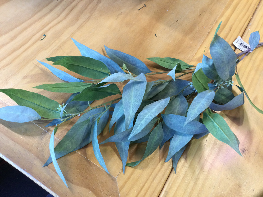 Eucalyptus Spray Long