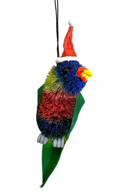 Rainbow Lorikeet