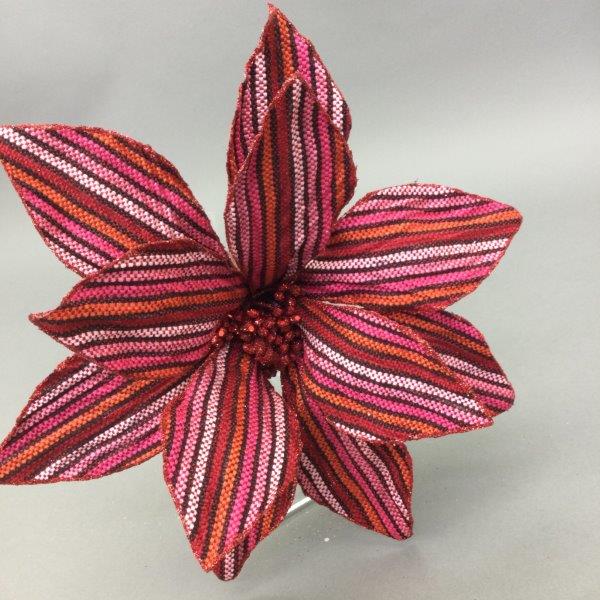 Burgundy Stripe Flower