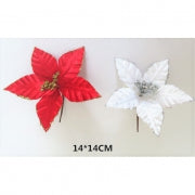 Christmas Flower